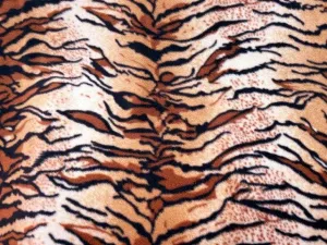 Tiger - Fleece Print